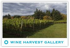 Wine Club Gallery